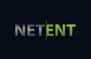 NET EN описание провайдера NET ENT