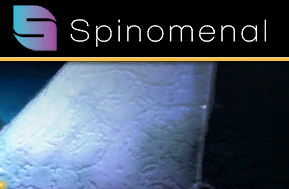 Обзор софта Спиноменал Spinomenal